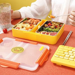 Reusable insulated 2 compartment lunch box stainless steel leakproof bento box