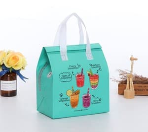 Custom Private Label Portable Small Insulated Thermal Non Woven Lunch Box Tote Cooler Bags for Sale Delivery Bag Eco Friendly
