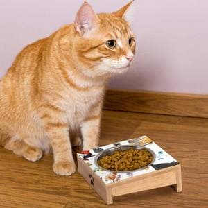Cat Food Custom Low MOQ Quadrate Bamboo Stand Stainless Steel Round Elevated Cat Dog Food Bowl Slanted Water Container