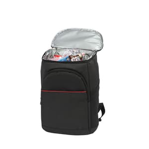 Promotion outdoor lunch bag travel food delivery backpack insulated cooler box