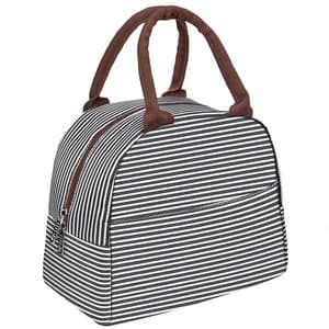 Portable lunch box travel picnic lady handbag insulated thermal cooler bag