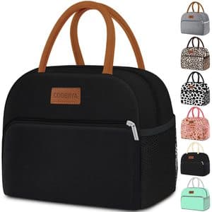 Small Leakproof Cooler Cute Lunch Boxes Tote Bags Large Capacity Reusable Insulated Lunch Container for Work Office Picnic