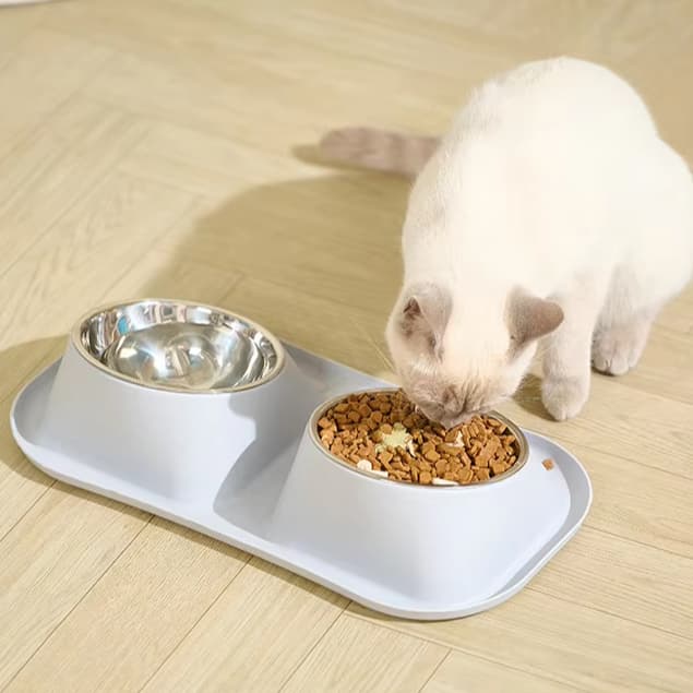 High Quality Pet Food Water Double Bowl Non Slip Anti Spill Pet Dog Cat Feeding Bowl Tilted Stainless Steel Pet Food Bowls
