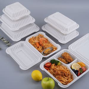 Plastic Bento Box Plastic Restaurant Thermal Food Container Clamshell Plastic Bento Lunch Box Take Away Food Containers Hinged With Lid