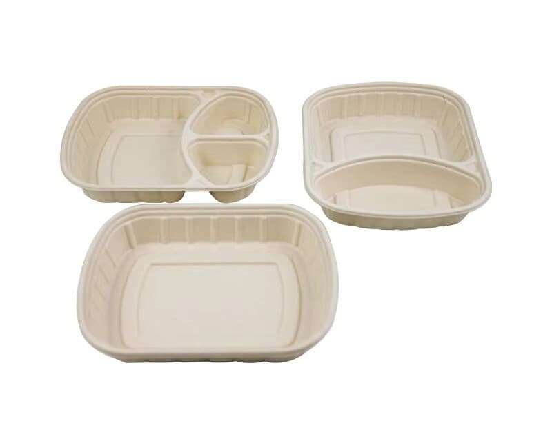 sugarcane bagasse food containers disposable